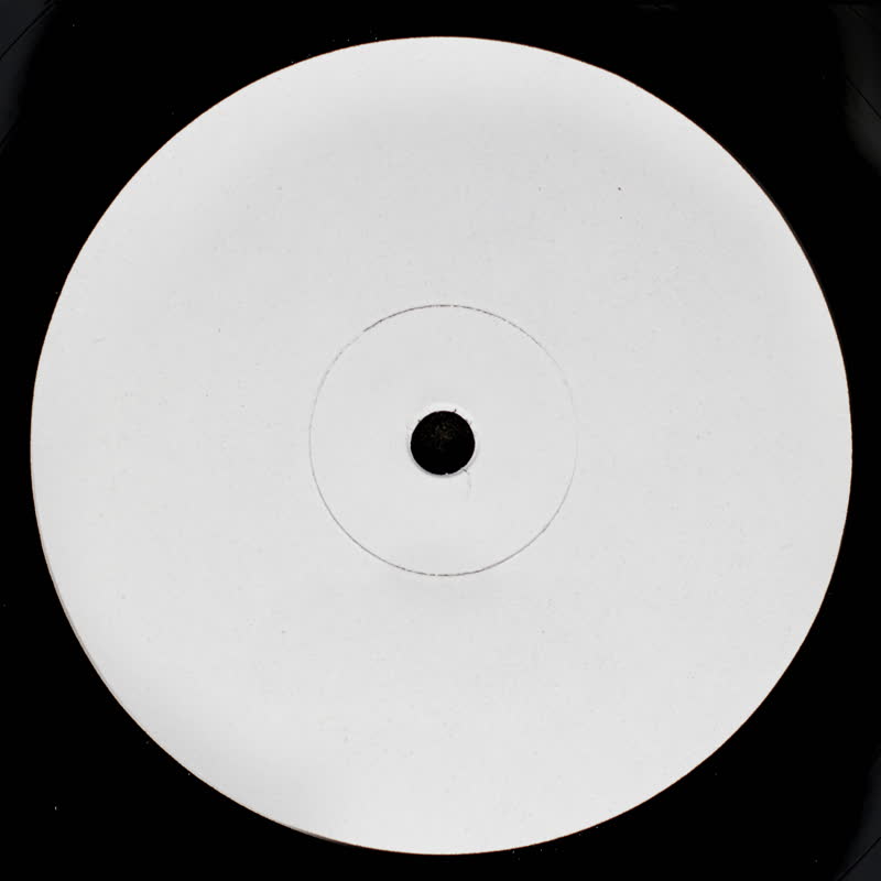 Two Shell/WEDDING PRACTICE 12"
