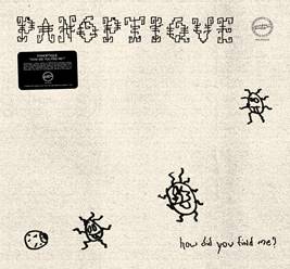 Panoptique/HOW DID YOU FIND ME? LP