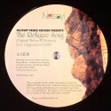 Netsayi/REFUGEE SONG 12"