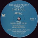 Various/MAGNIFICENT SAMPLER EP 12"