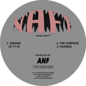 ANF/VISIONS 12"