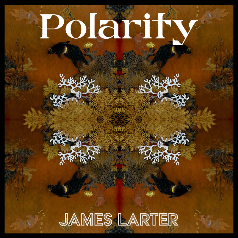 James Larter/POLARITY LP