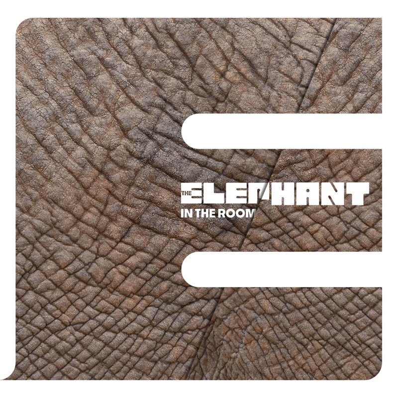 Elephant/IN THE ROOM LP