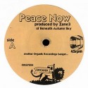 Beneath Autumn Sky/PEACE NOW 7"