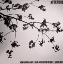 Xvectors/NOW IS THE WINTER... 12"