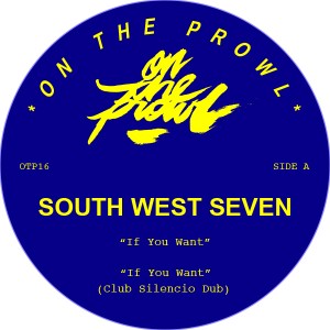 South West Seven/IF YOU WANT 12"