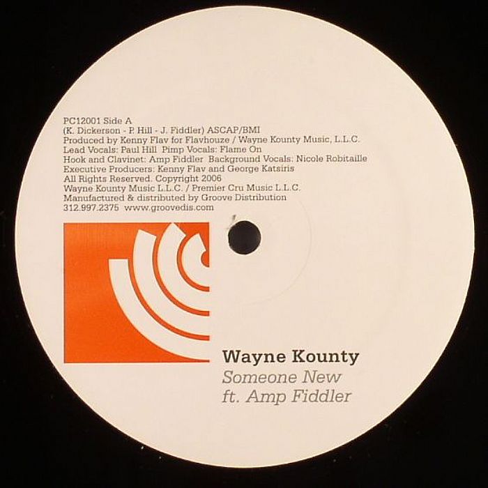 Wayne Kounty/SOMEONE NEW AMP FIDDLER 12"