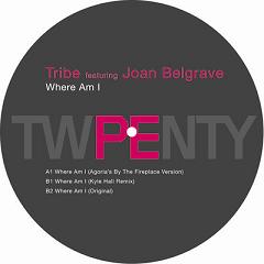 Tribe/WHERE AM I - KYLE HALL REMIX 12"