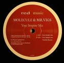 Molecule & Mr. Vigs/YOU INSPIRE ME 12"