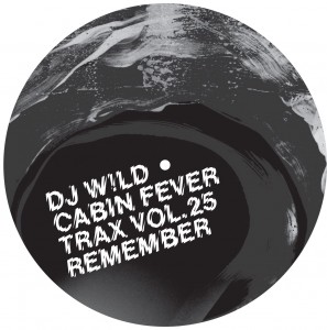 DJ Wild/D!RTY SAMPLER PART 1 12"