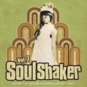 Various/SOULSHAKER VOL.7  CD