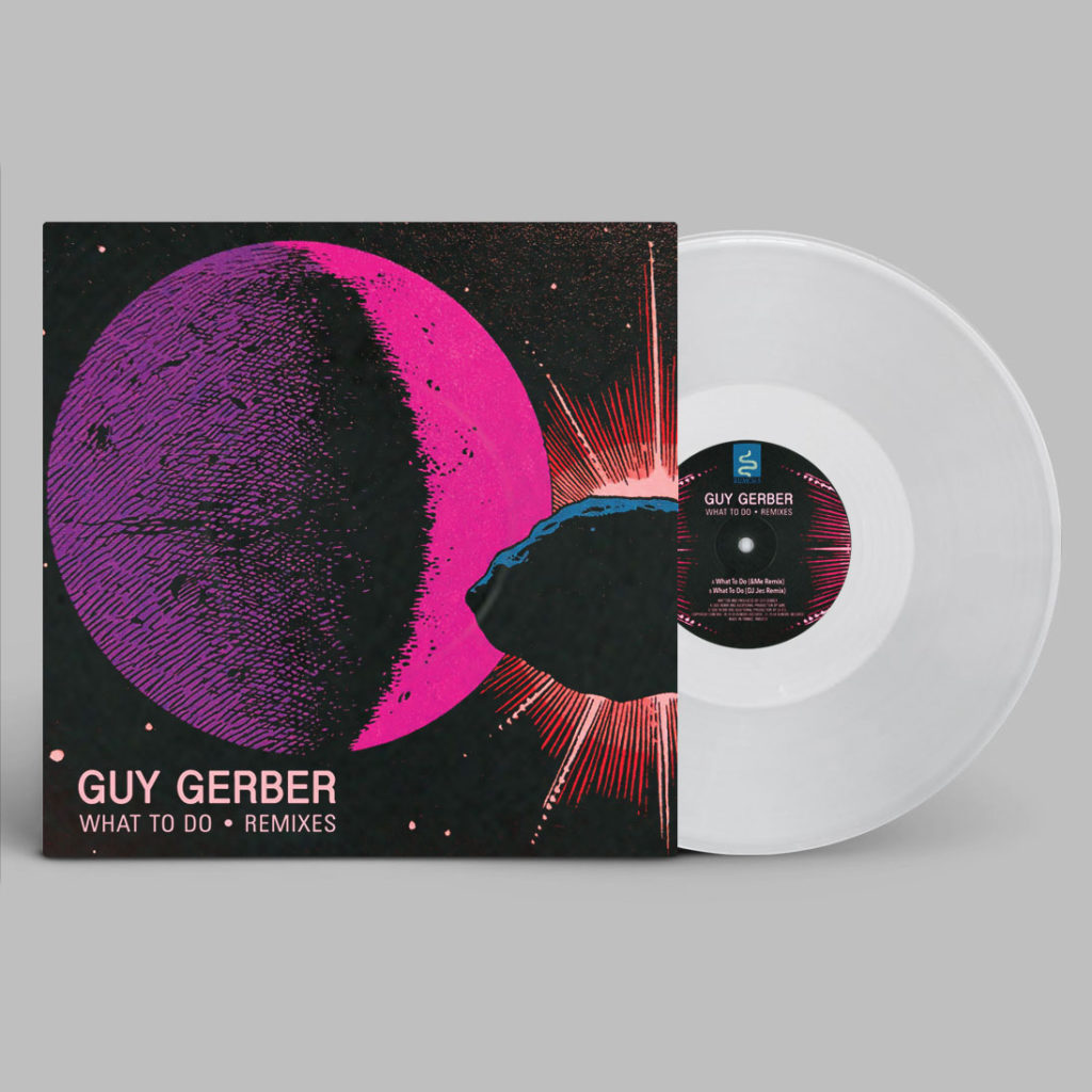 Guy Gerber/WHAT TO DO: REMIXES (CV) 12"