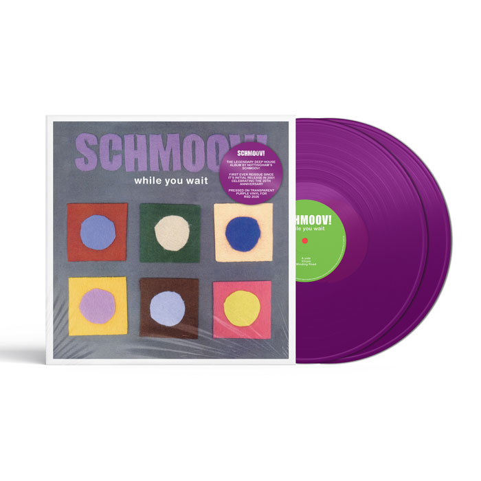 Schmoov!/WHILE YOU WAIT (PURPLE) DLP
