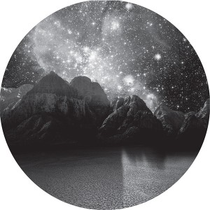 Martin Buttrich/EARTH OF FOXES 12"