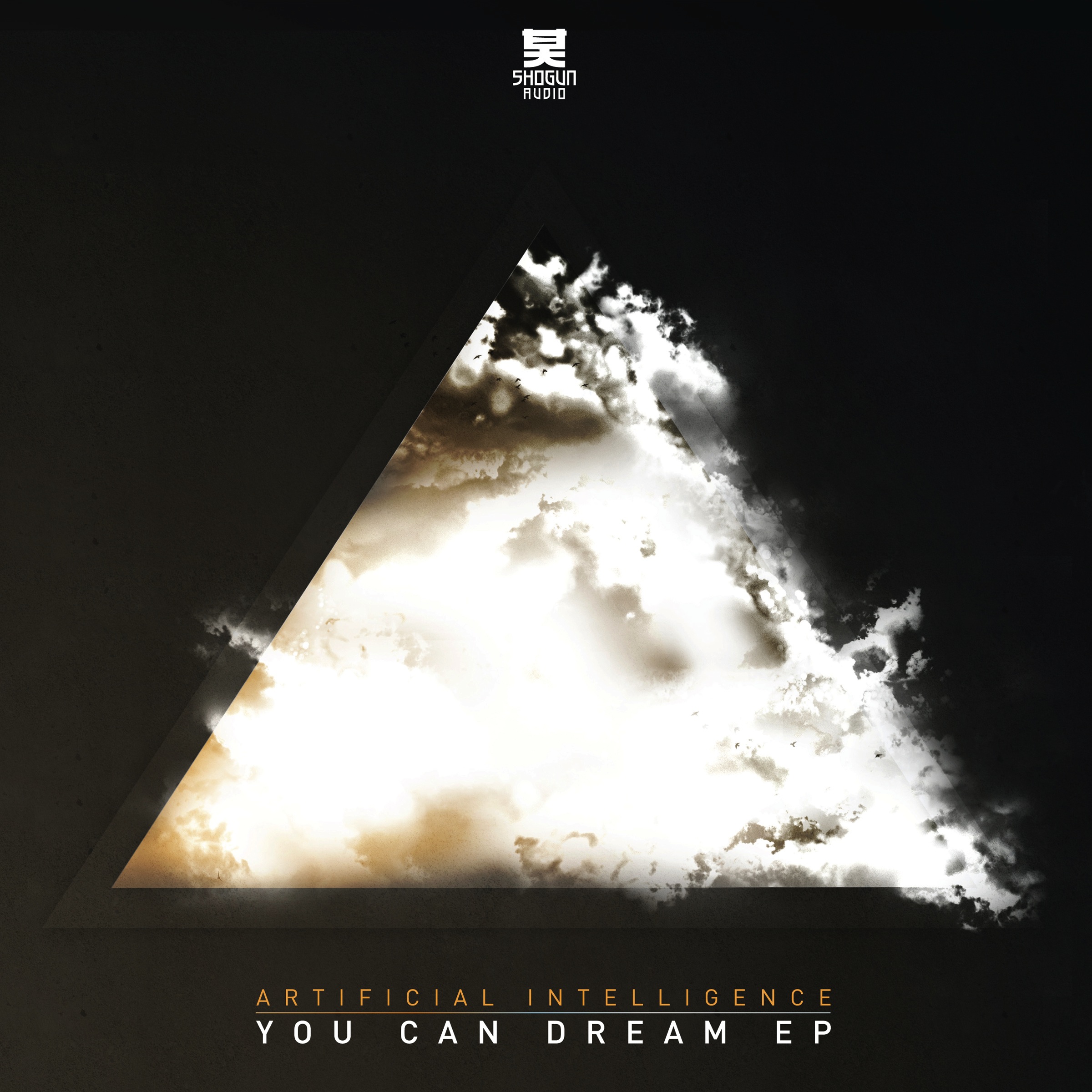 A.I./YOU CAN DREAM EP D12"
