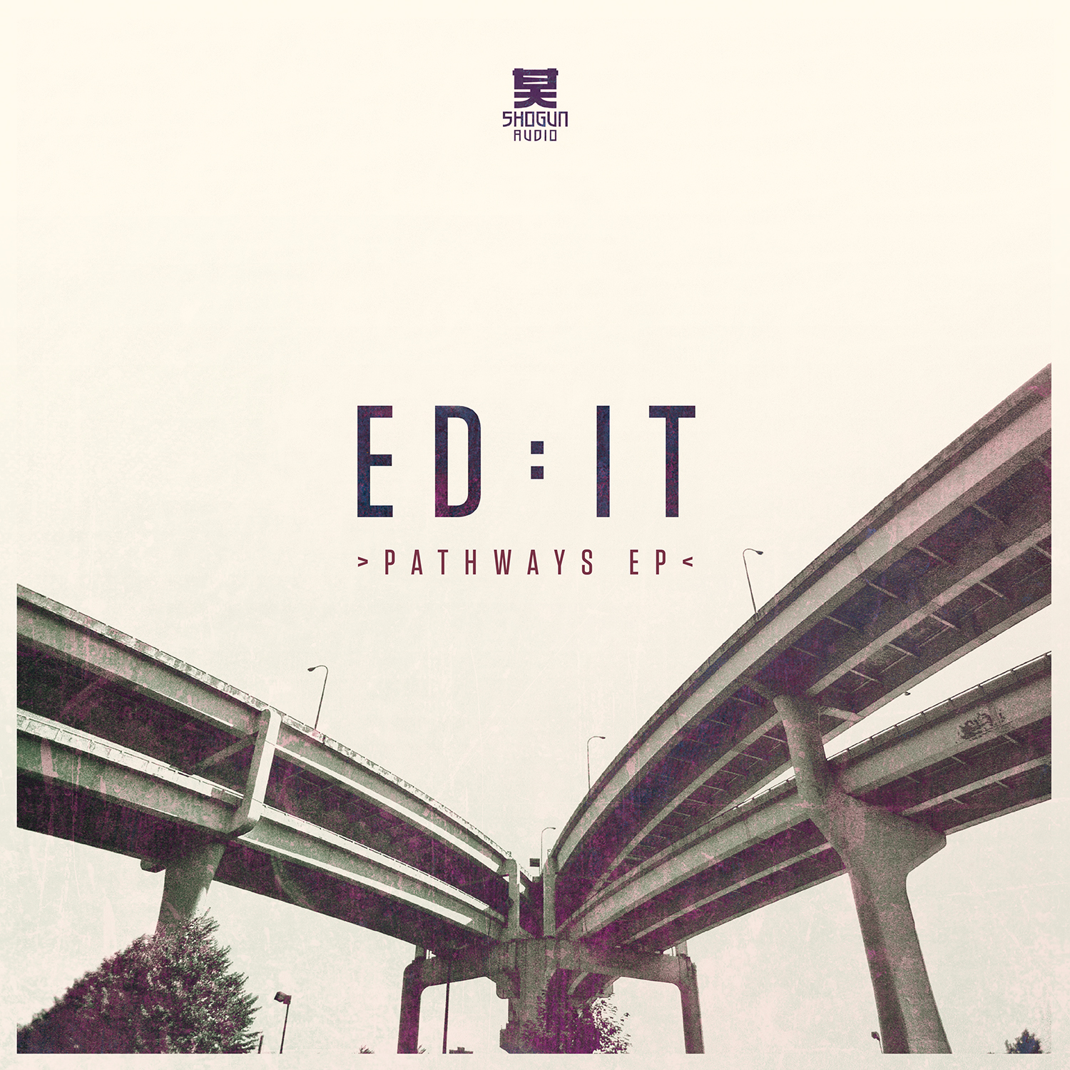 Ed:it/PATHWAYS EP 12"