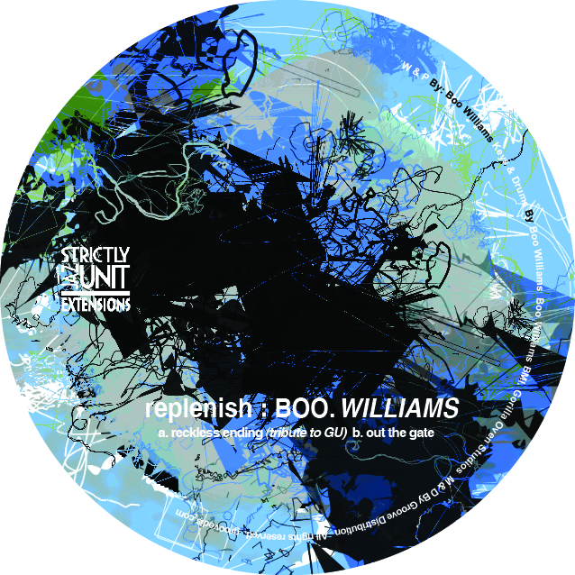 Boo Williams/REPLENISH 12"