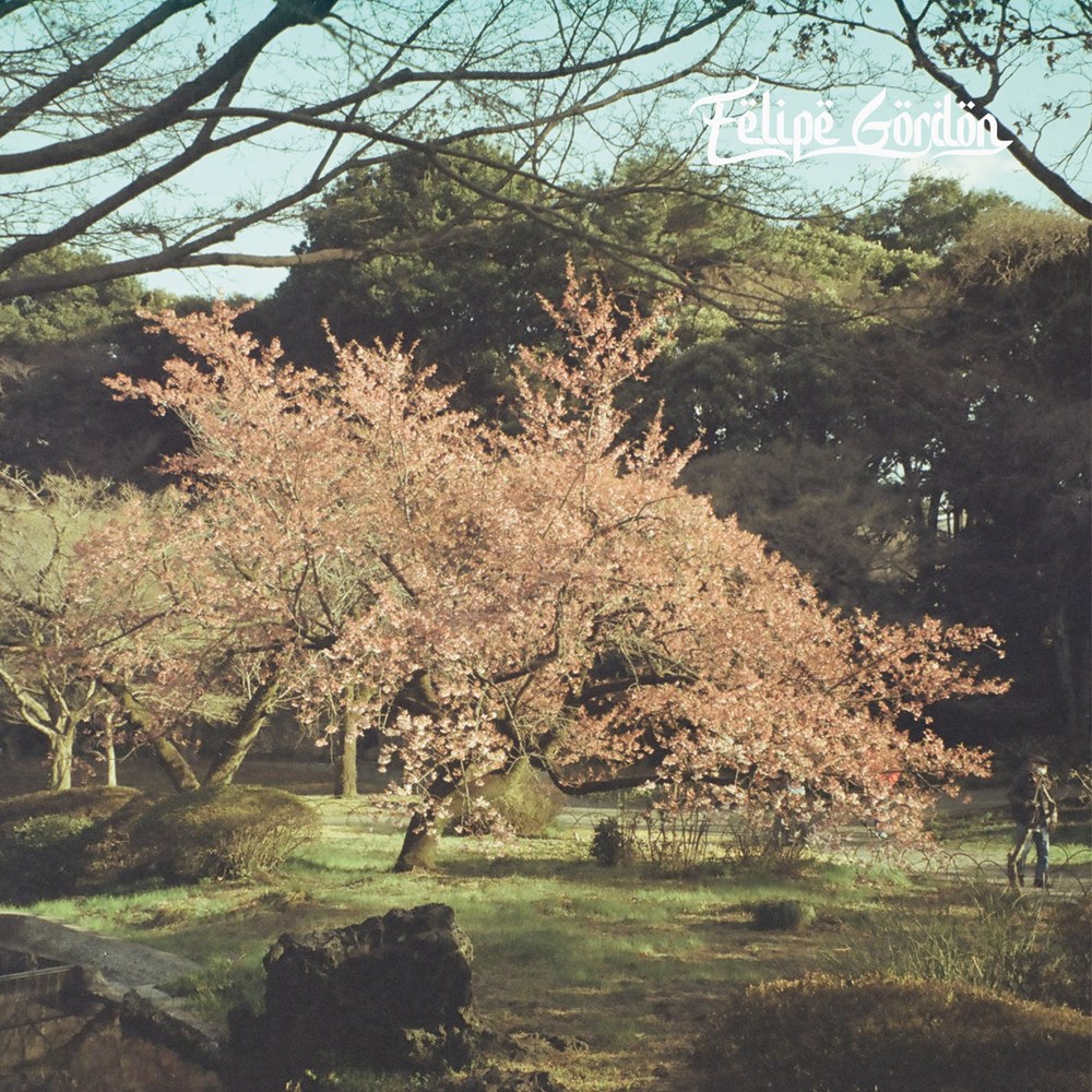 Felipe Gordon/TEZETA DLP