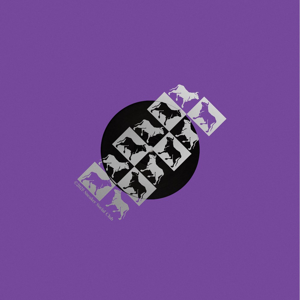 Low End Activist/MUNICIPAL DREAMS REMIXES 12"