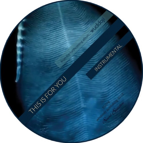 Theo Parrish/THIS IS FOR YOU 12"