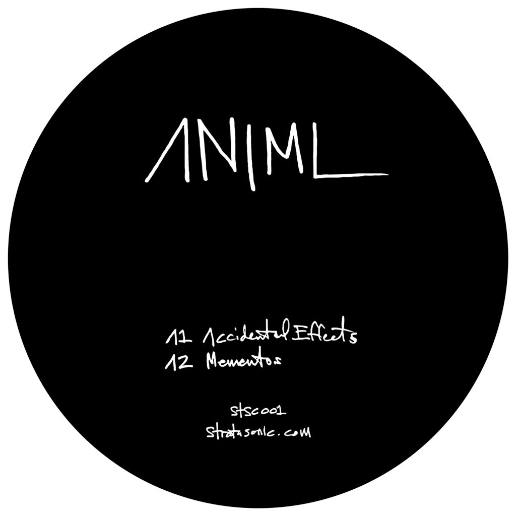 ANiML/ACCIDENTAL EFFECTS 12"