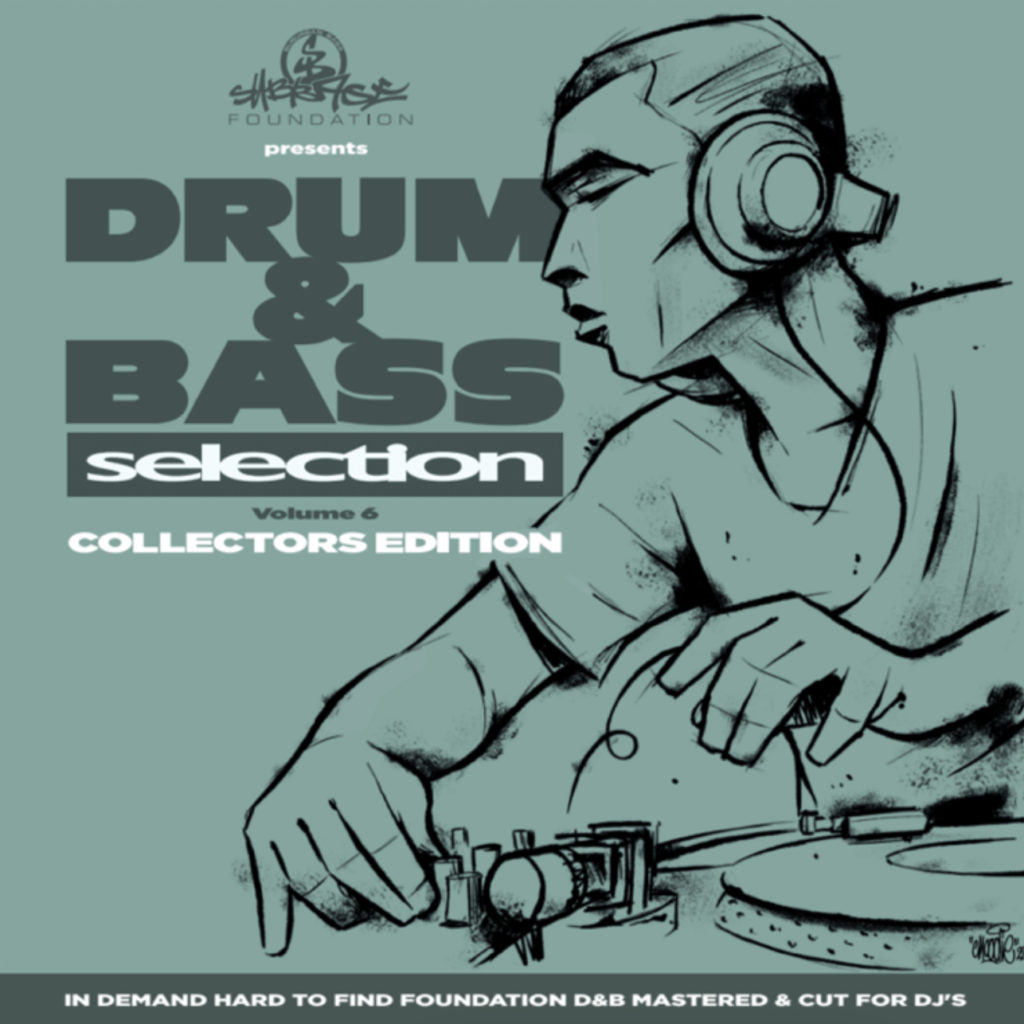 Various/DRUM & BASS SELECTION VOL 6 DLP