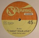TangoTerje/I WANT YOUR LOVE 12"