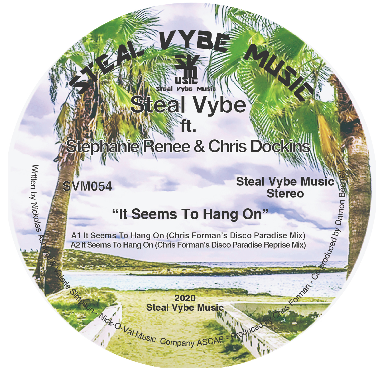 Steal Vybe/IT SEEMS TO HANG ON 12"