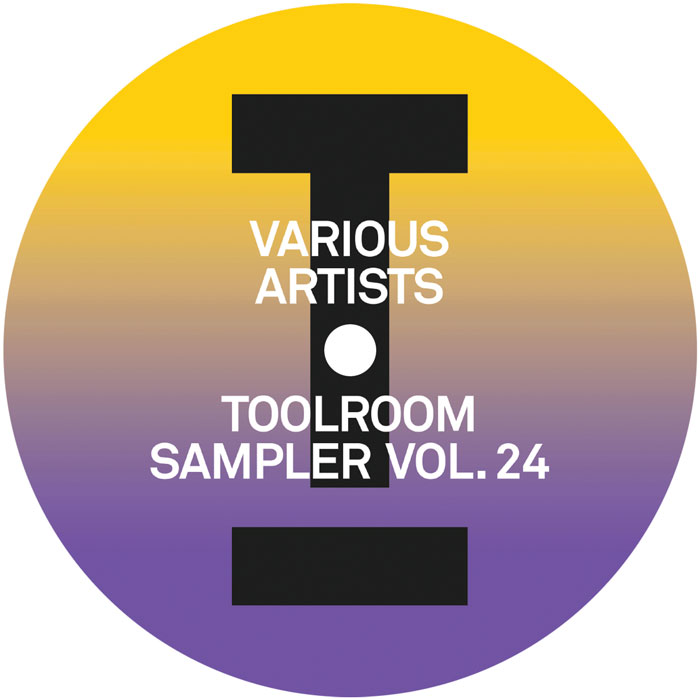 Various/TOOLROOM SAMPLER VOLUME 24 12"