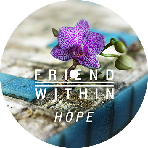 Friend Within/HOPE 12"