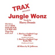 Jungle Wonz/BIRD IN A GUILDED CAGE 12"