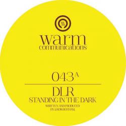 DLR/STANDING IN THE DARK EP 12"