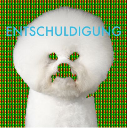 Entschuldigung/ENTSCHULDIGUNG EP 12"