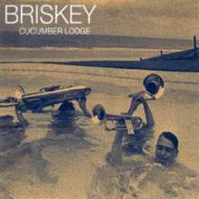 Briskey/CUCUMBER LODGE DLP