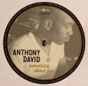 Anthony David/SOMETHING ABOUT YOU 12"