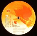 Restless Soul/LET YOUR FEELINGS SHOW 12"