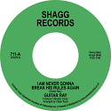 Guitar Ray/I AM NEVER GONNA... 7"