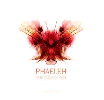 Phaeleh/THE COLD IN YOU EP D12"