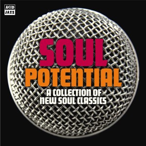 Various/SOUL POTENTIAL CD