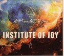 A Mountain Of One/INSTITUTE OF JOY CD