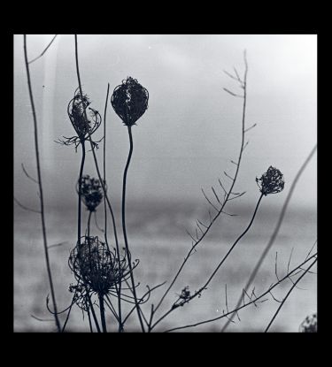 Recondite/PLACID + MP3 DLP