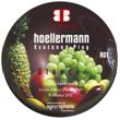 Hollermann/EXTENDED PLAY 12"