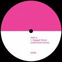 Veter Pisti/FAGGET FAIRYS REMIX EP 12"