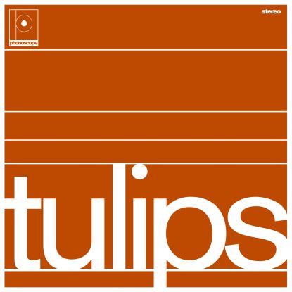 Maston/TULIPS LP