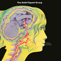 Keith Tippett Group/DEDICATED TO YOU, BUT YOU WEREN'T LISTENING LP