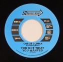 Color Climax/YOU GOT WHAT YOU... 7"