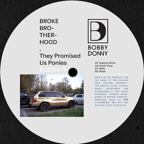 Broke Brotherhood/THEY PROMISED US.. 12"