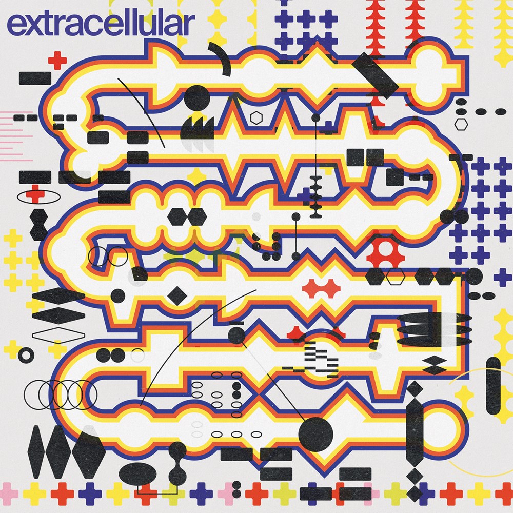 Various/EXTRACELLULAR LP
