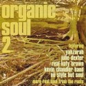 Various/ORGANIC SOUL 2 CD