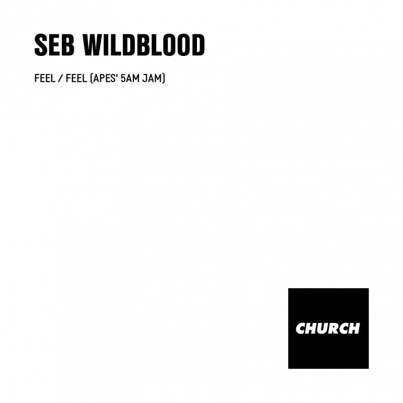 Seb Wildblood/FEEL 12"